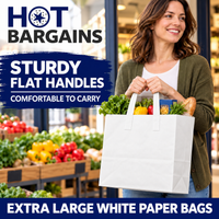 Hot Bargains — 250 X White Flat Handle Paper Bag - XL — photo 3