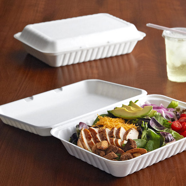 Pack of 250 Bagasse Takeaway Container 9 x 6 inch Single Compartment Food Box, Biodegradable Meal Box