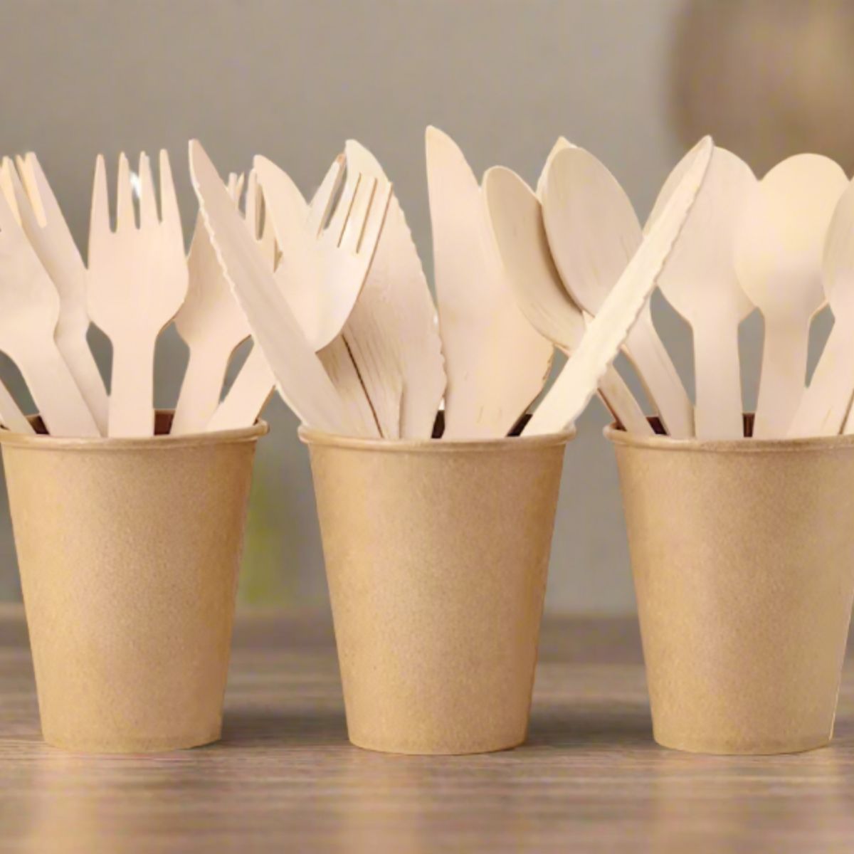 Pack of 1000 Biodegradable Wooden Cutlery Sets – Knives, Spoons & Forks