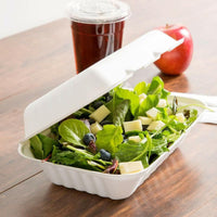 Disposable Bagasse Tableware – Biodegradable Clamshells, Burger Boxes, and Plates.