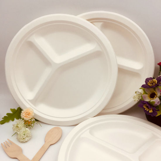 500 Pack 10" Size Bagasse 3 Compartment Disposable Biodegradable Plates