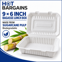 Hot Bargains — 250 X 9 x 6 inch 1 Compartment Box — photo 2