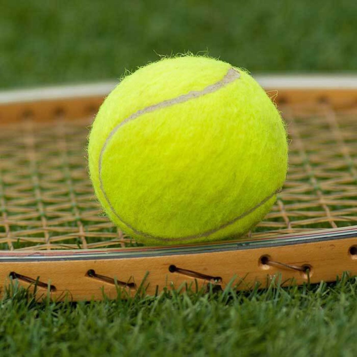 Durable Tennis Balls – Strong, Long-Lasting Sports Balls for Outdoor Play & Dog Fetch | Light Green