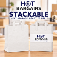 Hot Bargains — 250 X White Flat Handle Paper Bag - Small — photo 4