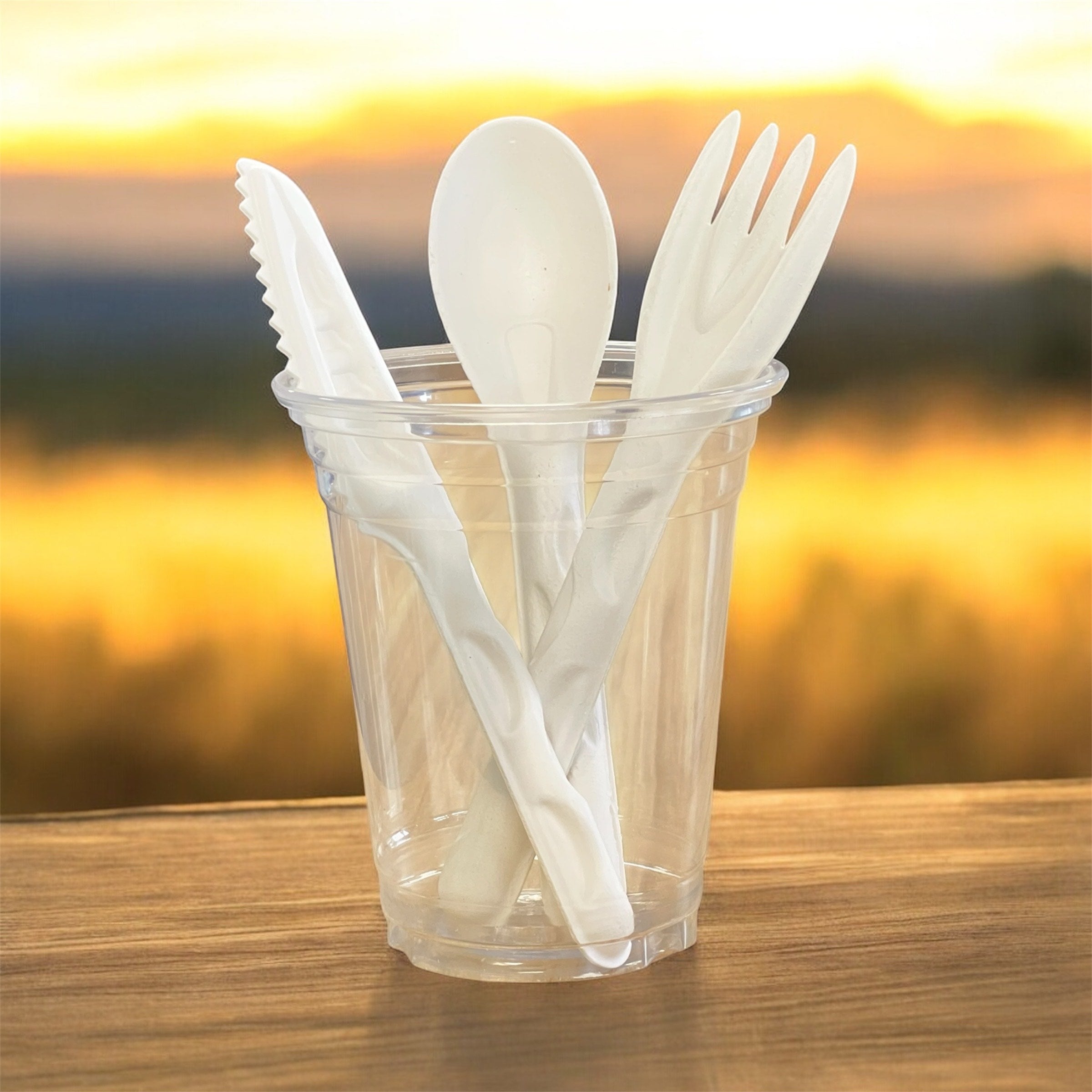 White Biodegradable Bagasse Cutlery Set – Spoons, Knives & Forks for Catering
