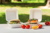 Bagasse Burger Box, 6 inch Square (152 x 152 x 78mm), Pack of 250pcs Biodegradable Takeaway Containers