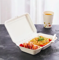 Pack of 250 Bagasse Takeaway Container 9.8 x 6 inch Two - Compartment Food Box, Biodegradable Meal Box