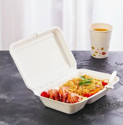 Pack of 250 Bagasse Takeaway Container 9.8 x 6 inch Two - Compartment Food Box, Biodegradable Meal Box