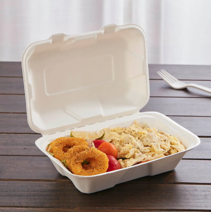 Pack of 250 Bagasse Takeaway Container 9 x 6 inch Single Compartment Food Box, Biodegradable Meal Box