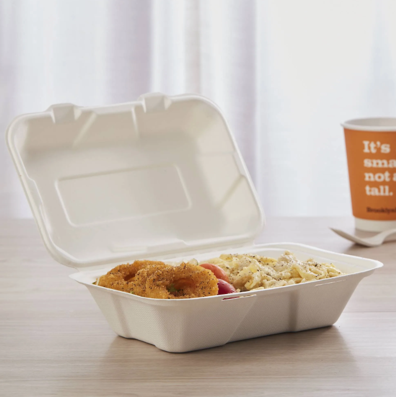 250 Pcs Disposable Bagasse Clamshells 5 x 7 Inches Size Biodegradable Food Box