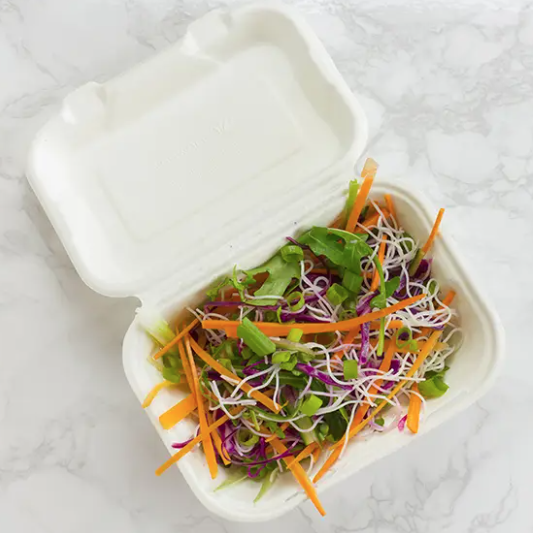 250 Pcs Disposable Bagasse Clamshells 5 x 7 Inches Size Biodegradable Food Box