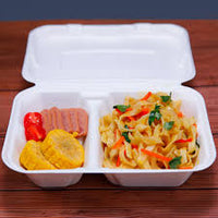 Pack of 250 Bagasse Takeaway Container 9.8 x 6 inch Two - Compartment Food Box, Biodegradable Meal Box